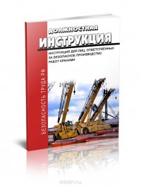 Должностная инструкция для лиц, ответственных за безопасное производство работ кранами